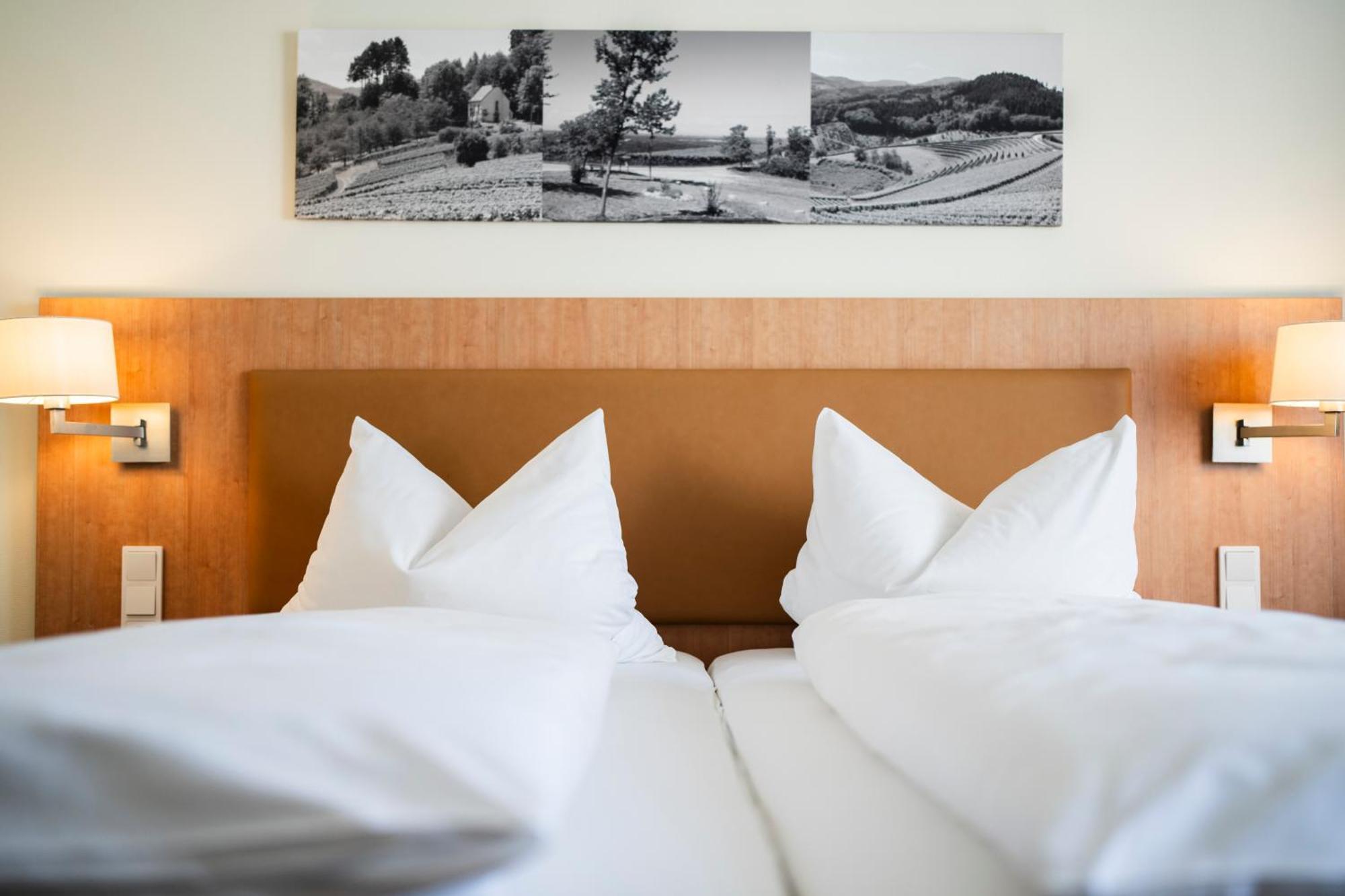 Hotel-Gasthof Rose Oberkirch  Exterior foto