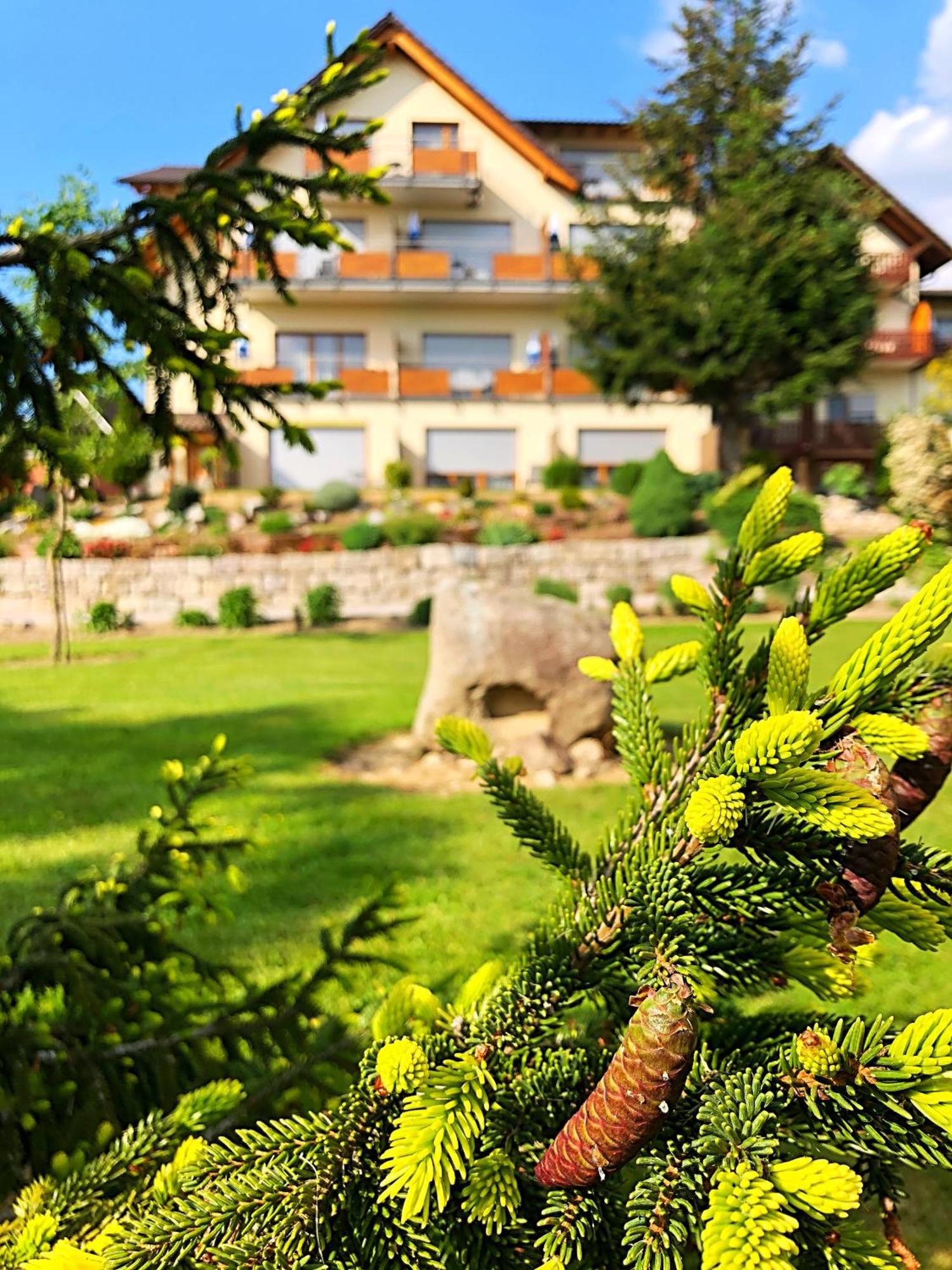 Hotel-Gasthof Rose Oberkirch  Exterior foto