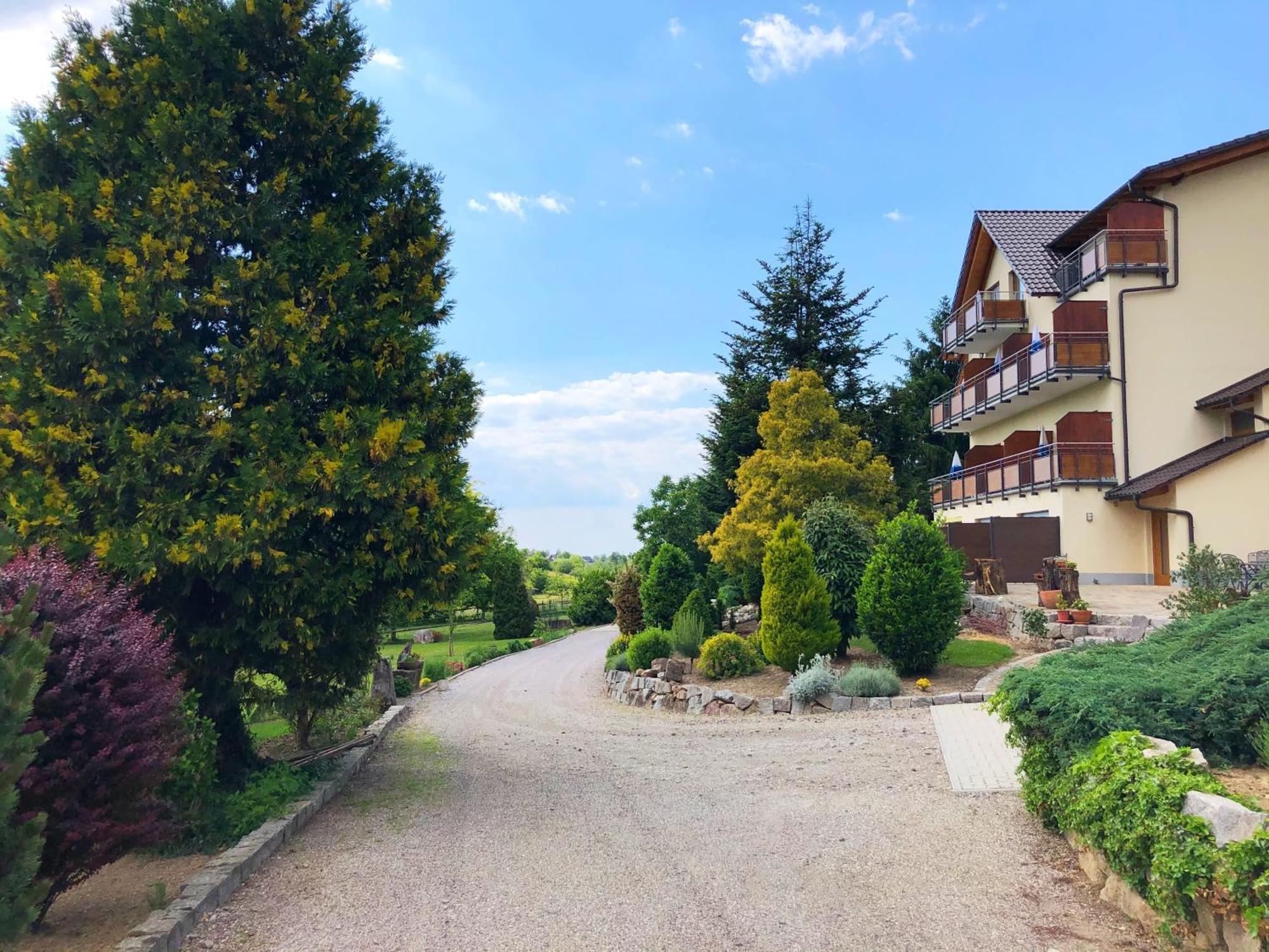 Hotel-Gasthof Rose Oberkirch  Exterior foto