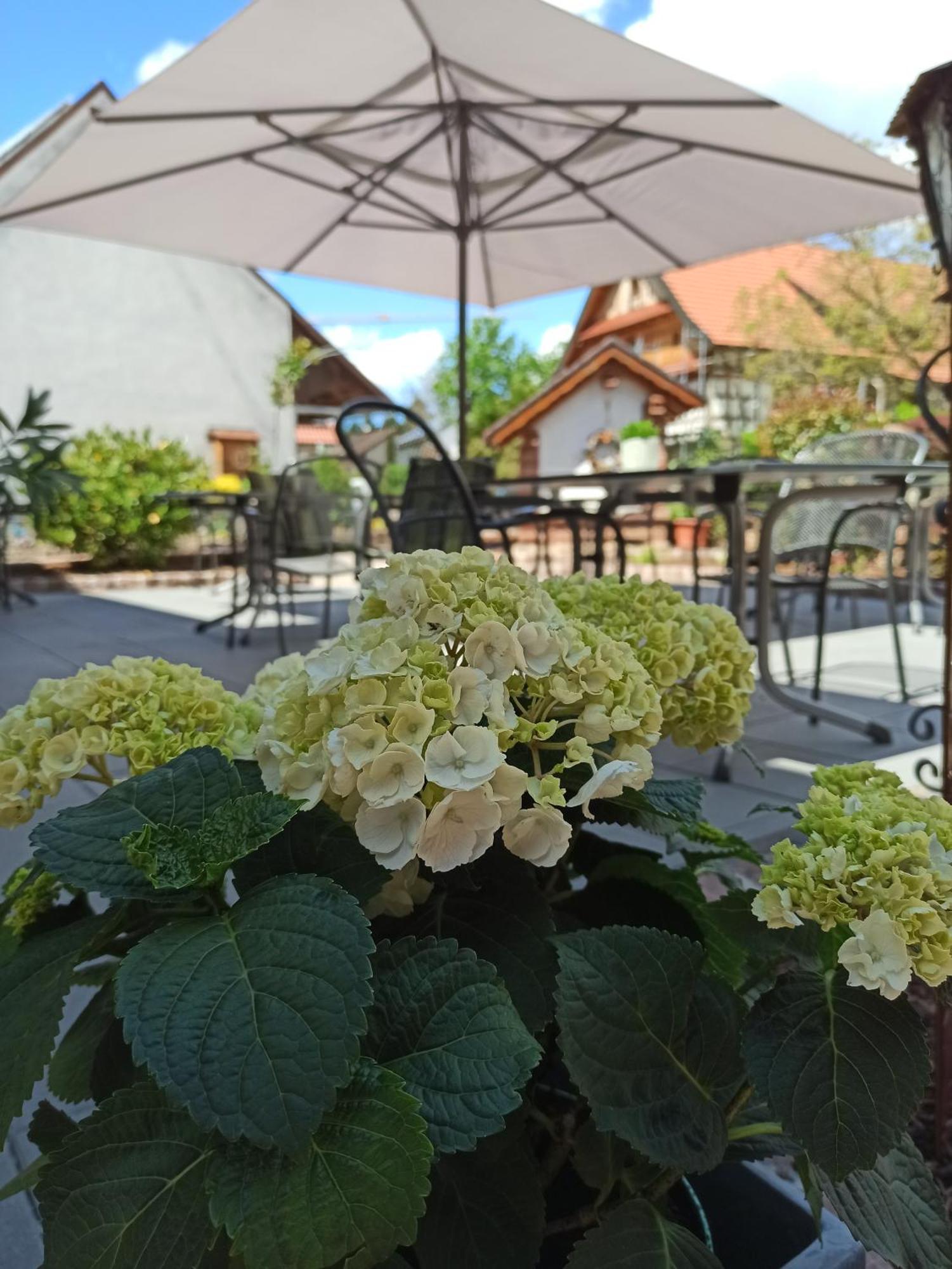 Hotel-Gasthof Rose Oberkirch  Exterior foto